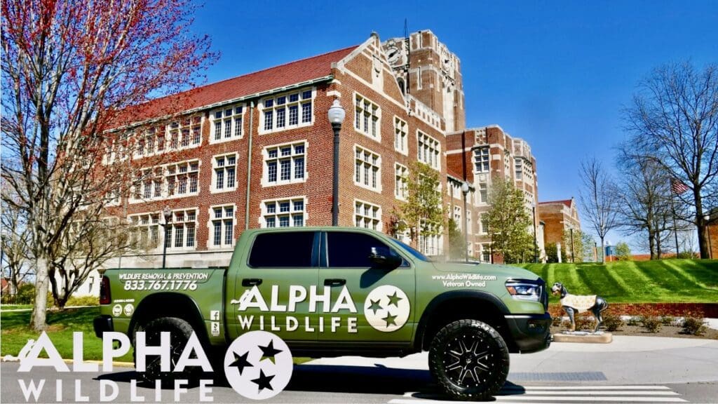 Alpha Wildlife Truck